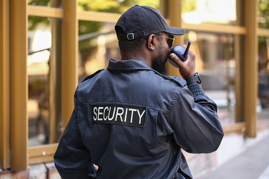 Job Opening: Security Officer – Port Elizabeth